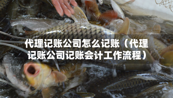 代理記賬公司怎么記賬（代理記賬公司記賬會(huì)計(jì)工作流程）