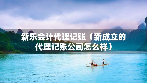 新樂會計代理記賬（新成立的代理記賬公司怎么樣）