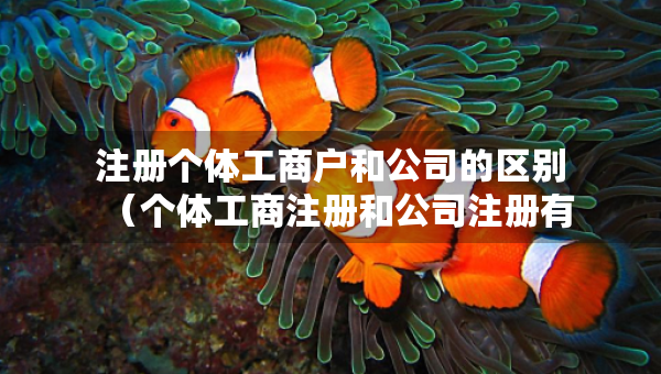 注冊(cè)個(gè)體工商戶和公司的區(qū)別（個(gè)體工商注冊(cè)和公司注冊(cè)有什么區(qū)別）