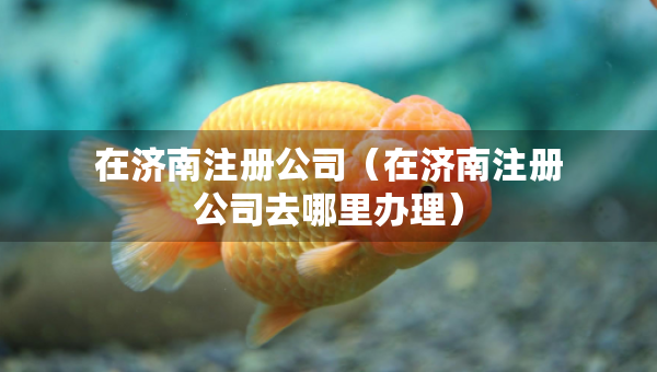 在濟(jì)南注冊公司（在濟(jì)南注冊公司去哪里辦理）