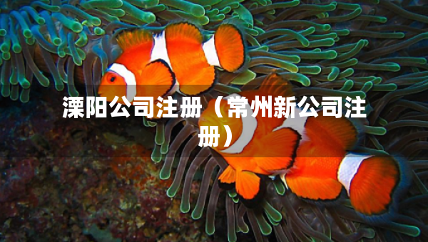 溧陽公司注冊（常州新公司注冊）