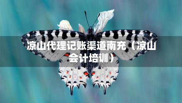 涼山代理記賬渠道南充（涼山會計培訓）