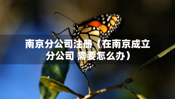 南京分公司注冊（在南京成立分公司 需要怎么辦）