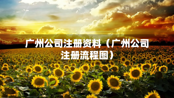 廣州公司注冊資料（廣州公司注冊流程圖）