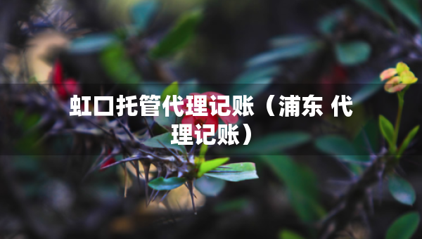 虹口托管代理記賬（浦東 代理記賬）