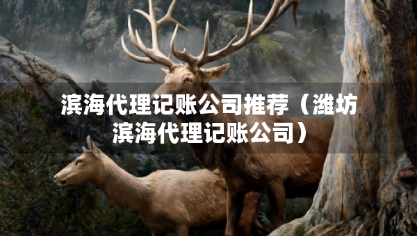 濱海代理記賬公司推薦（濰坊濱海代理記賬公司）