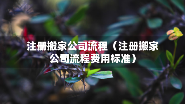 注冊(cè)搬家公司流程（注冊(cè)搬家公司流程費(fèi)用標(biāo)準(zhǔn)）