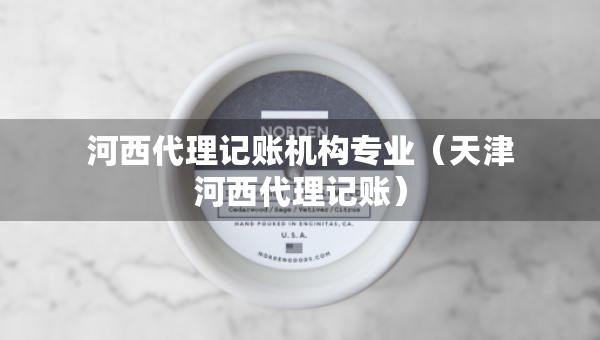 河西代理記賬機(jī)構(gòu)專業(yè)（天津河西代理記賬）