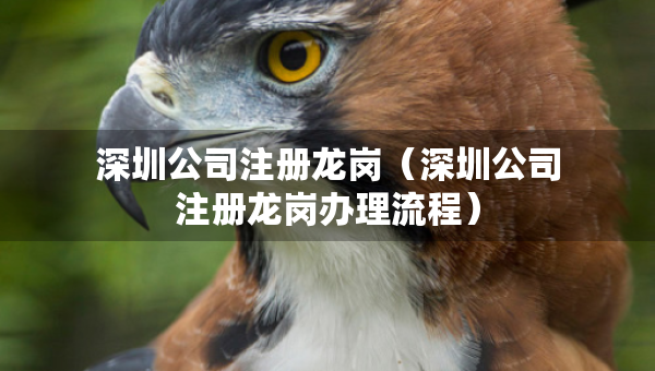 深圳公司注冊龍崗（深圳公司注冊龍崗辦理流程）