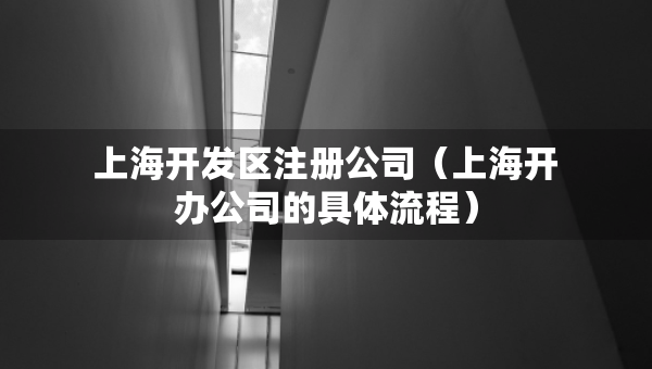 上海開(kāi)發(fā)區(qū)注冊(cè)公司（上海開(kāi)辦公司的具體流程）