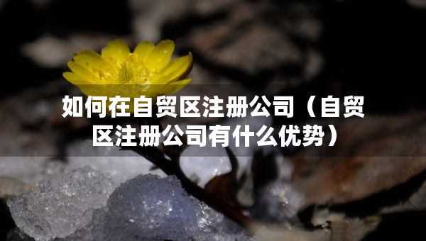 如何在自貿(mào)區(qū)注冊(cè)公司（自貿(mào)區(qū)注冊(cè)公司有什么優(yōu)勢(shì)）