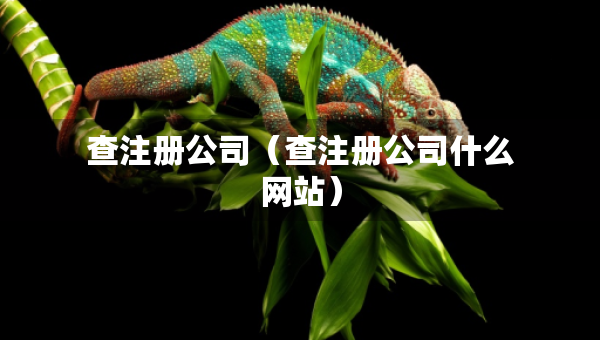 查注冊(cè)公司（查注冊(cè)公司什么網(wǎng)站）