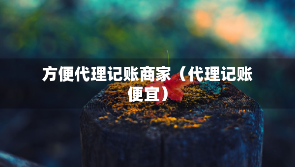 方便代理記賬商家（代理記賬便宜）
