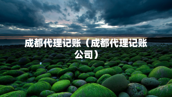 成都代理記賬（成都代理記賬公司）