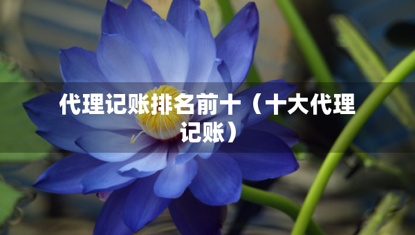 代理記賬排名前十（十大代理記賬）