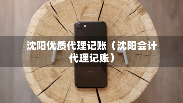 沈陽優(yōu)質(zhì)代理記賬（沈陽會計代理記賬）