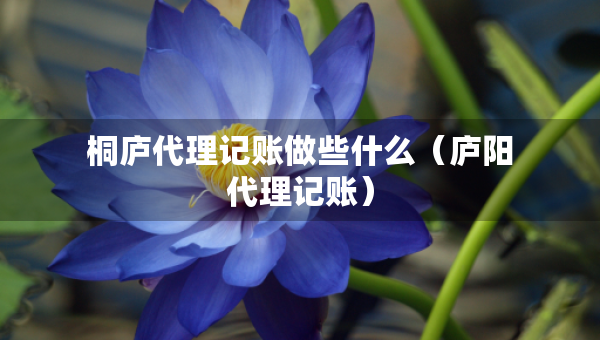 桐廬代理記賬做些什么（廬陽代理記賬）