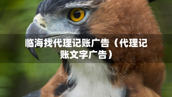 臨海找代理記賬廣告（代理記賬文字廣告）