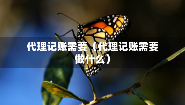 代理記賬需要（代理記賬需要做什么）