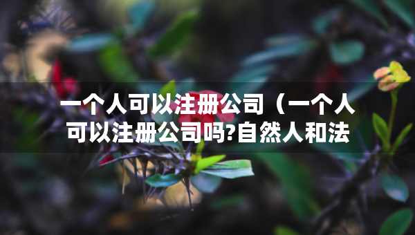 一個(gè)人可以注冊(cè)公司（一個(gè)人可以注冊(cè)公司嗎?自然人和法人有什么區(qū)別）
