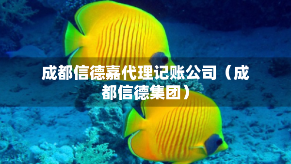 成都信德嘉代理記賬公司（成都信德集團）