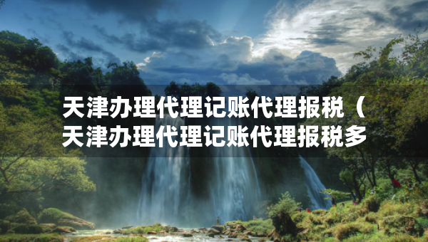 天津辦理代理記賬代理報稅（天津辦理代理記賬代理報稅多少錢）