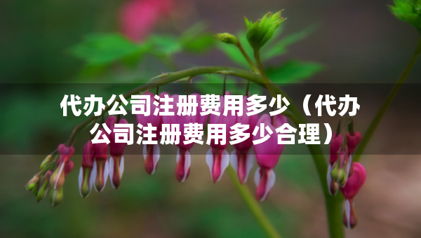 代辦公司注冊費(fèi)用多少（代辦公司注冊費(fèi)用多少合理）