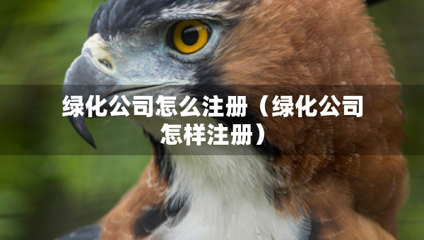 綠化公司怎么注冊（綠化公司怎樣注冊）