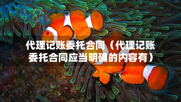 代理記賬委托合同（代理記賬委托合同應(yīng)當明確的內(nèi)容有）