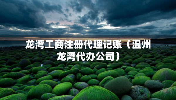 龍灣工商注冊(cè)代理記賬（溫州龍灣代辦公司）