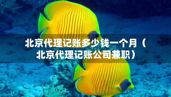 北京代理記賬多少錢一個月（北京代理記賬公司兼職）