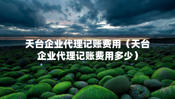 天臺企業(yè)代理記賬費(fèi)用（天臺企業(yè)代理記賬費(fèi)用多少）