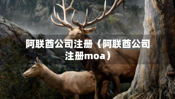 阿聯(lián)酋公司注冊（阿聯(lián)酋公司注冊moa）