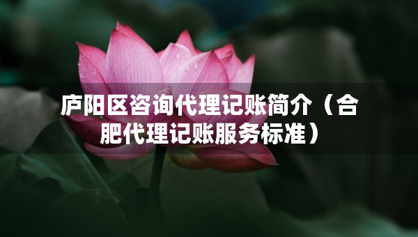 廬陽區(qū)咨詢代理記賬簡介（合肥代理記賬服務標準）
