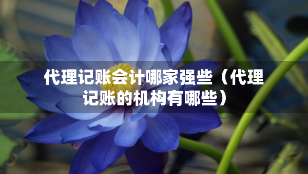 代理記賬會計哪家強(qiáng)些（代理記賬的機(jī)構(gòu)有哪些）