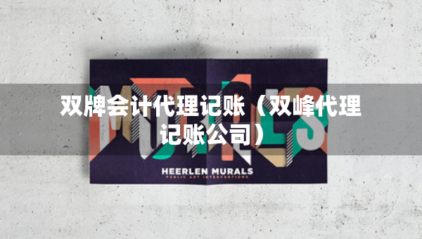 雙牌會計(jì)代理記賬（雙峰代理記賬公司）