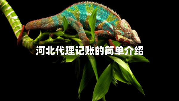 河北代理記賬的簡(jiǎn)單介紹