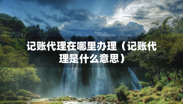 記賬代理在哪里辦理（記賬代理是什么意思）