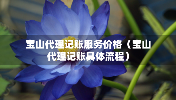 寶山代理記賬服務(wù)價格（寶山代理記賬具體流程）