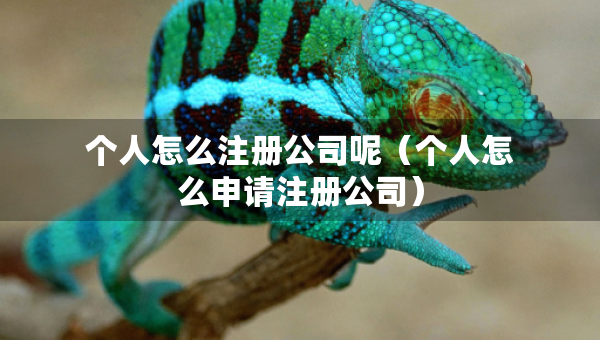 個人怎么注冊公司呢（個人怎么申請注冊公司）