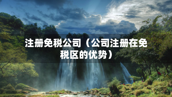 注冊免稅公司（公司注冊在免稅區(qū)的優(yōu)勢）