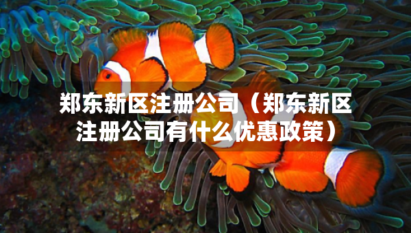 鄭東新區(qū)注冊(cè)公司（鄭東新區(qū)注冊(cè)公司有什么優(yōu)惠政策）