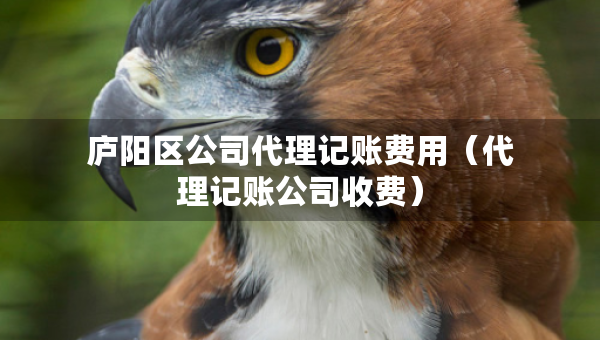 廬陽區(qū)公司代理記賬費(fèi)用（代理記賬公司收費(fèi)）