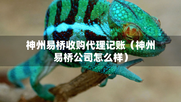 神州易橋收購代理記賬（神州易橋公司怎么樣）