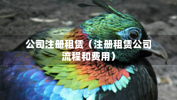 公司注冊(cè)租賃（注冊(cè)租賃公司流程和費(fèi)用）
