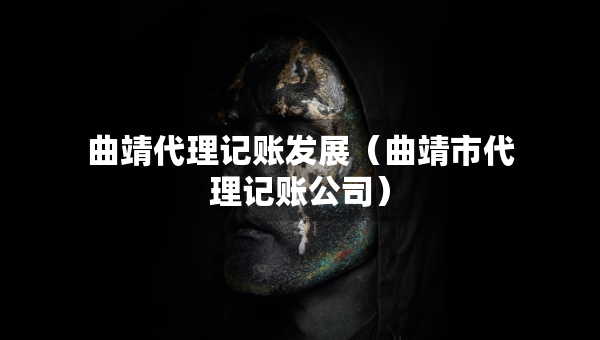 曲靖代理記賬發(fā)展（曲靖市代理記賬公司）