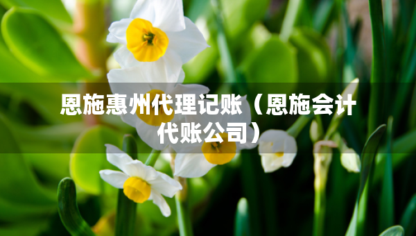 恩施惠州代理記賬（恩施會計代賬公司）