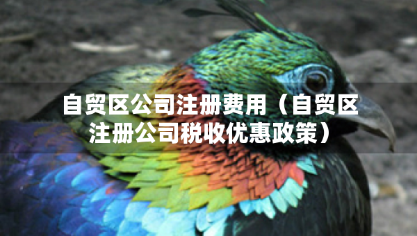 自貿(mào)區(qū)公司注冊(cè)費(fèi)用（自貿(mào)區(qū)注冊(cè)公司稅收優(yōu)惠政策）