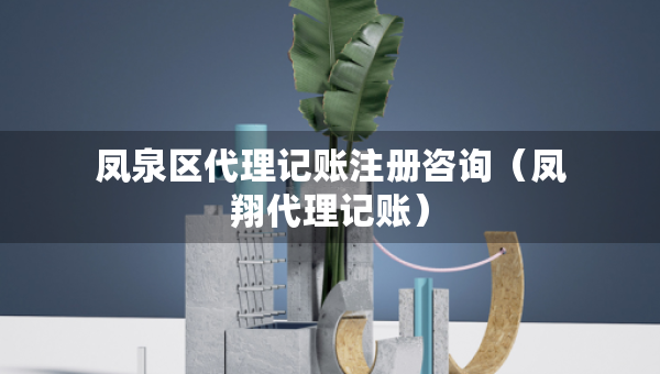 鳳泉區(qū)代理記賬注冊(cè)咨詢（鳳翔代理記賬）