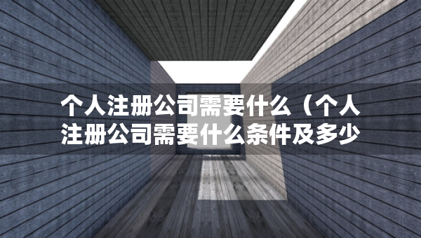 個人注冊公司需要什么（個人注冊公司需要什么條件及多少費用）
